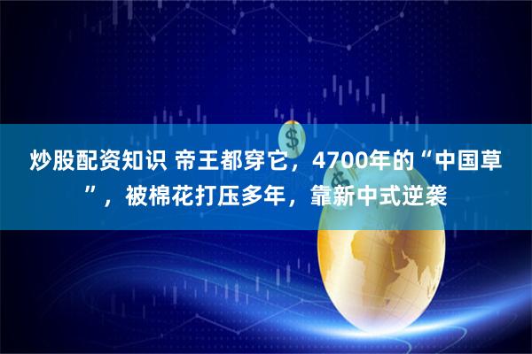 炒股配资知识 帝王都穿它，4700年的“中国草”，被棉花打压多年，靠新中式逆袭